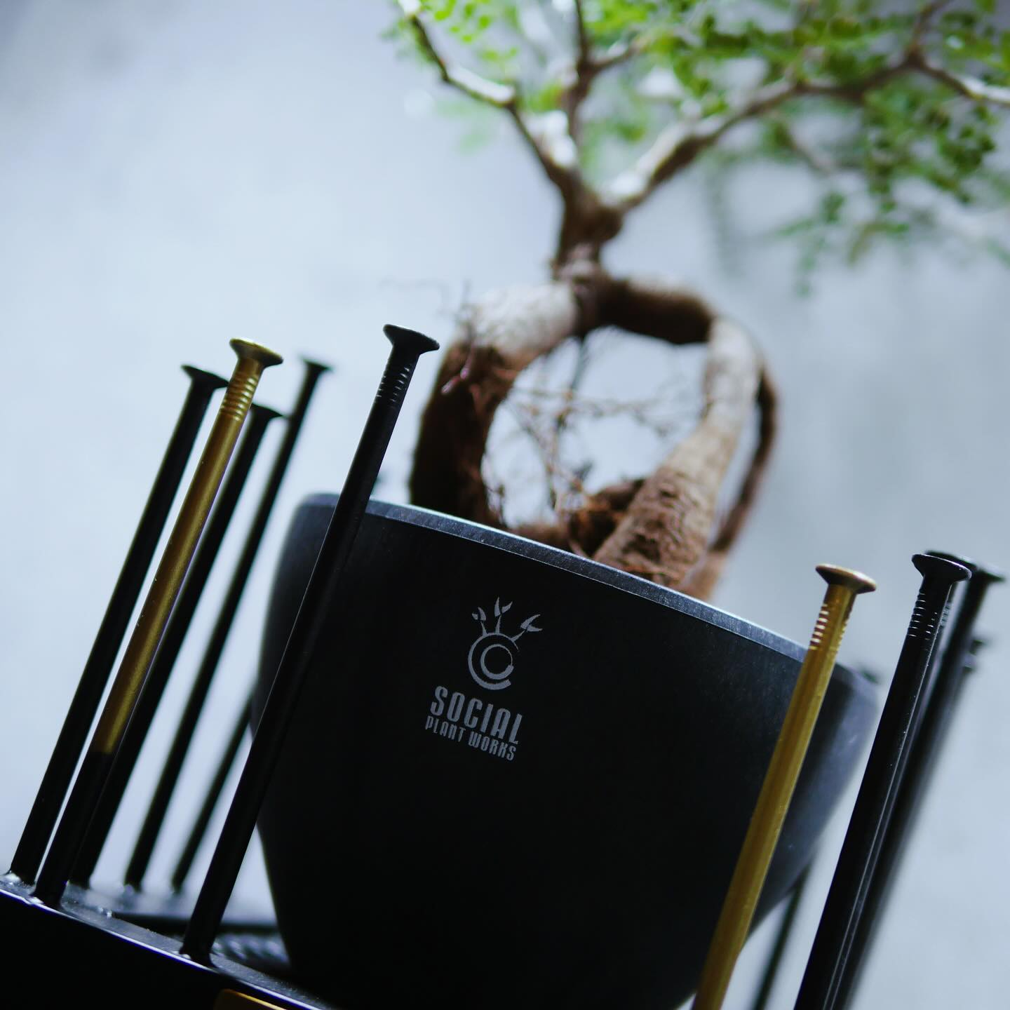 LOGO ECO POT SIZE M(4.5号サイズ鉢)