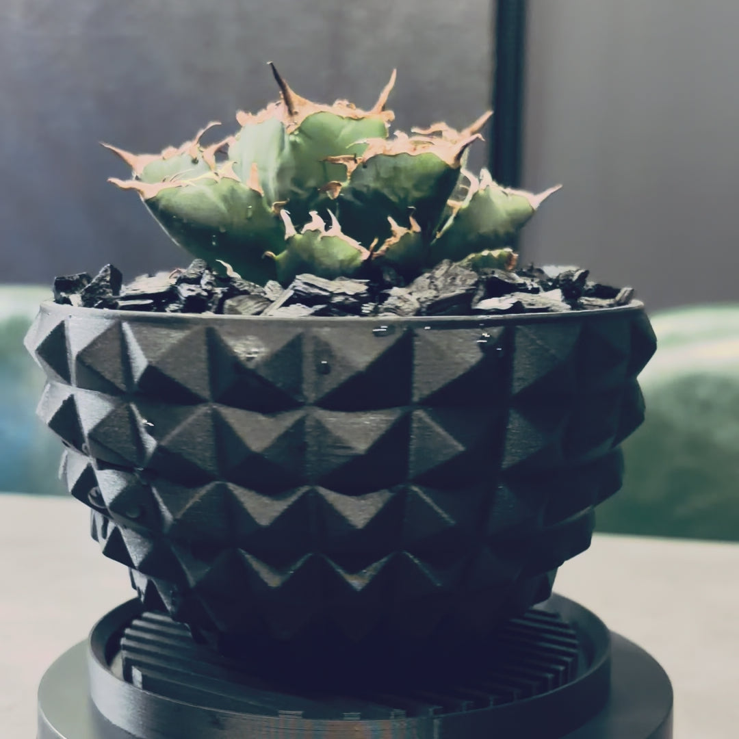 POT STUD SIZE M（4号サイズ鉢） – SOCIAL PLANT WORKS｜OFFICIAL STORE