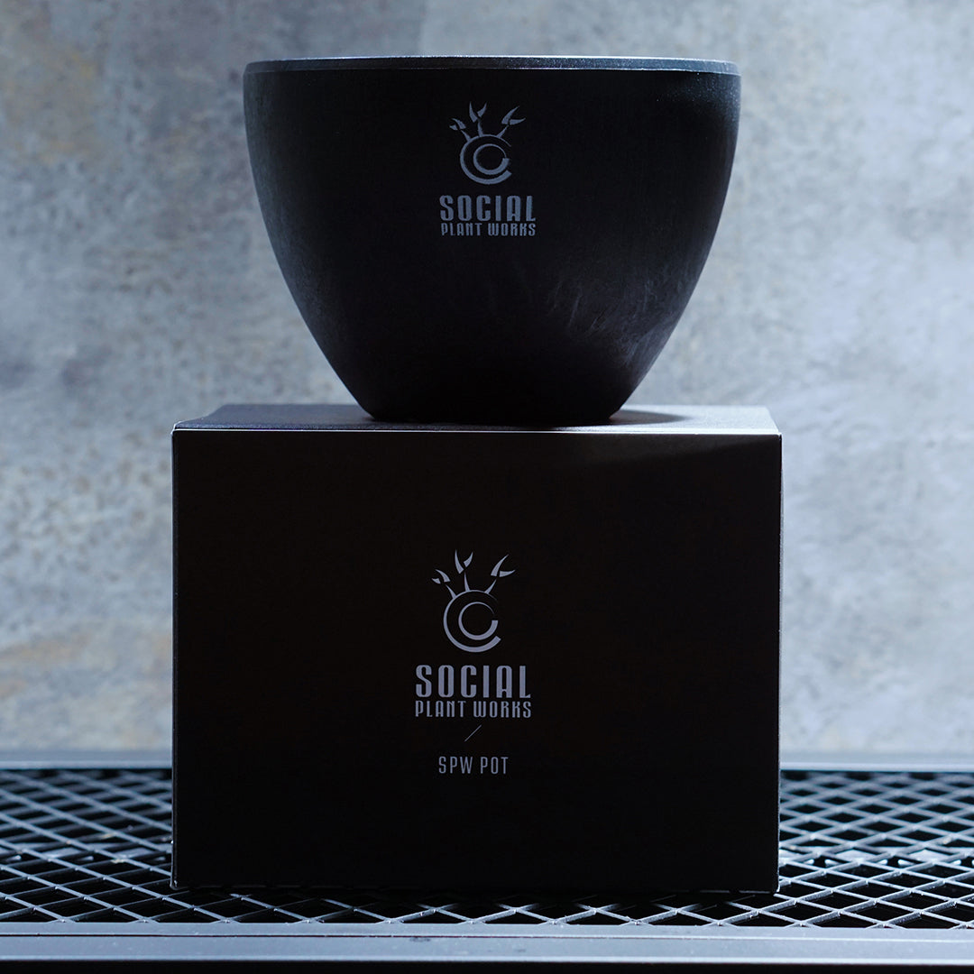 LOGO ECO POT SIZE S(3.5号サイズ)