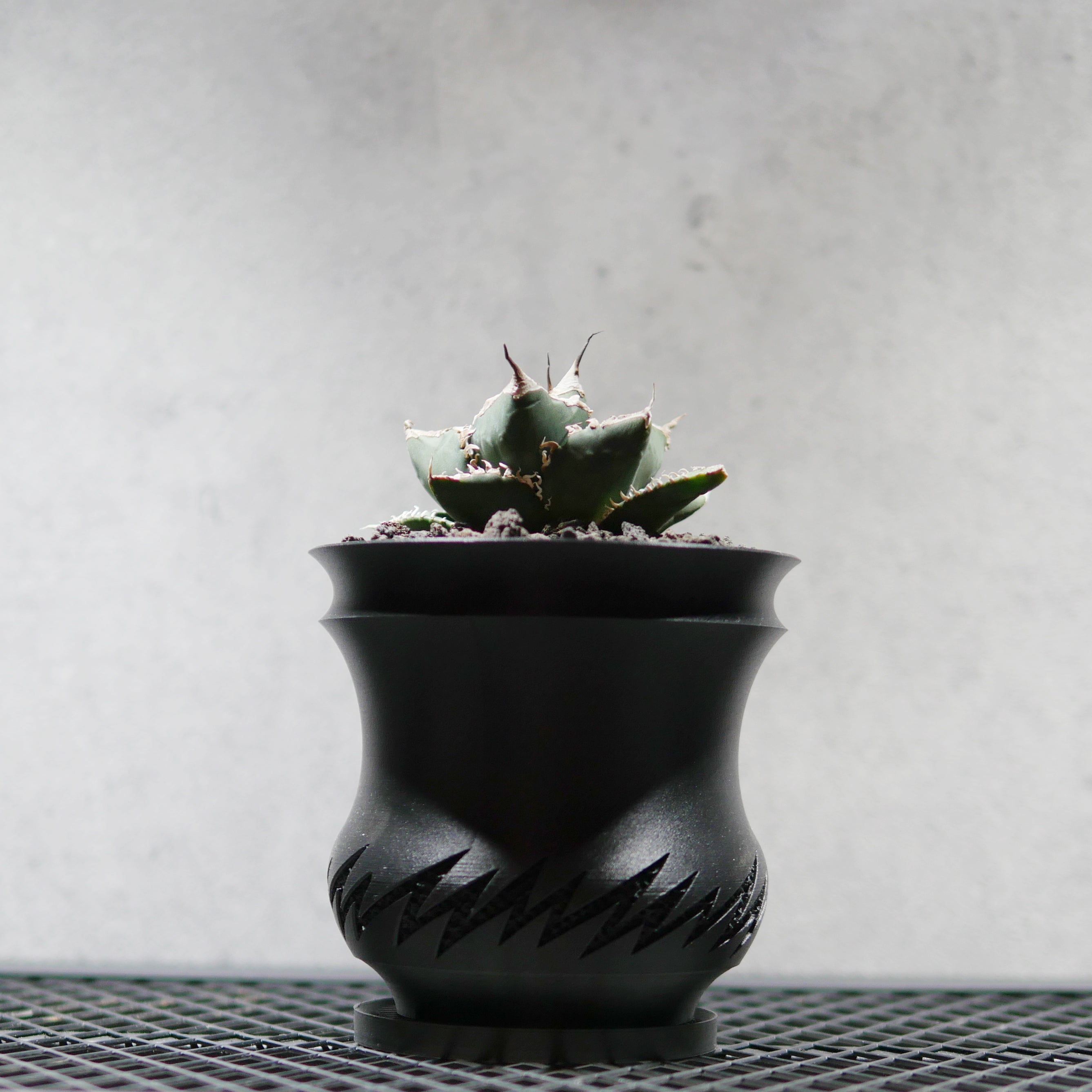 PRODUCT – SOCIAL PLANT WORKS｜OFFICIAL STORE