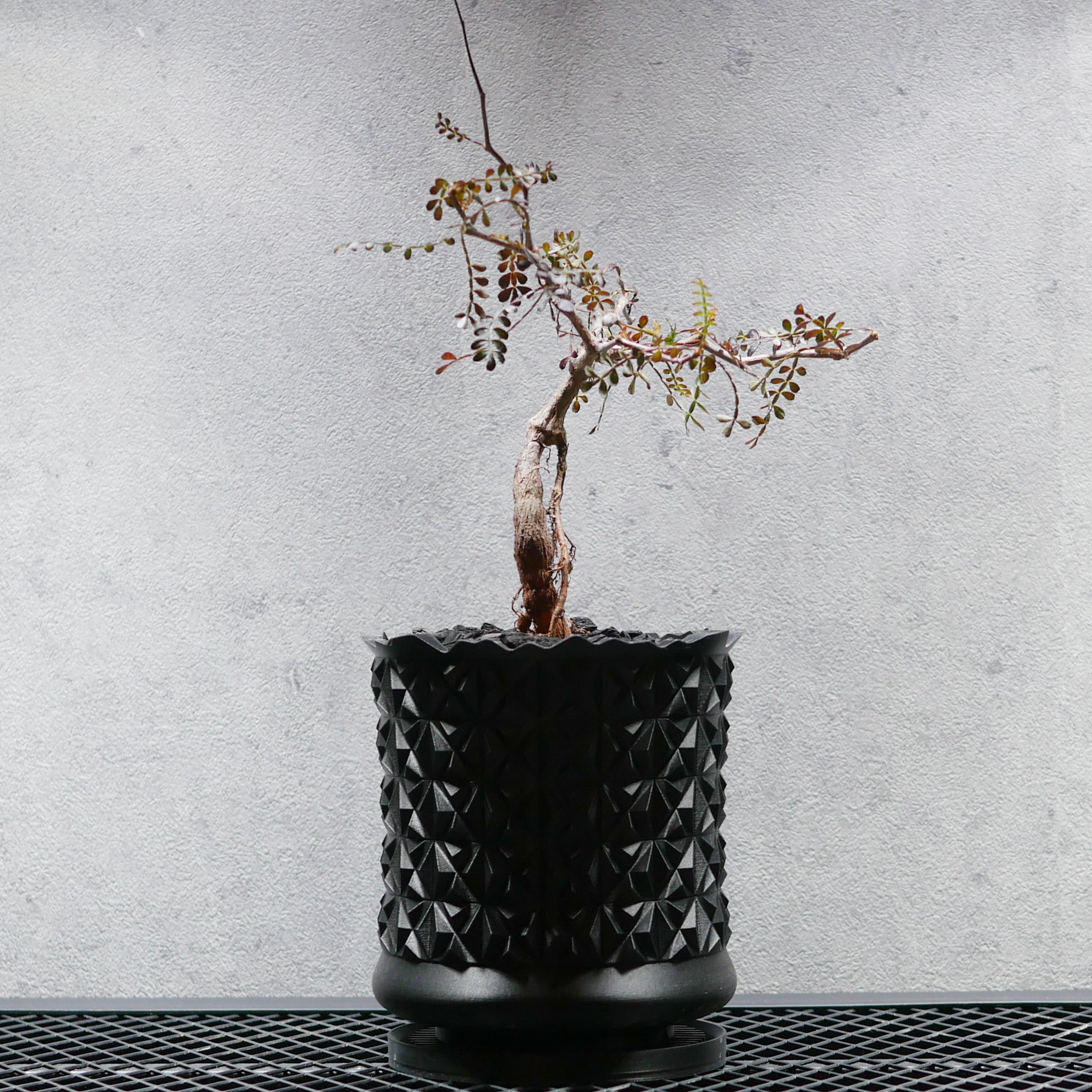 PRODUCT – SOCIAL PLANT WORKS｜OFFICIAL STORE