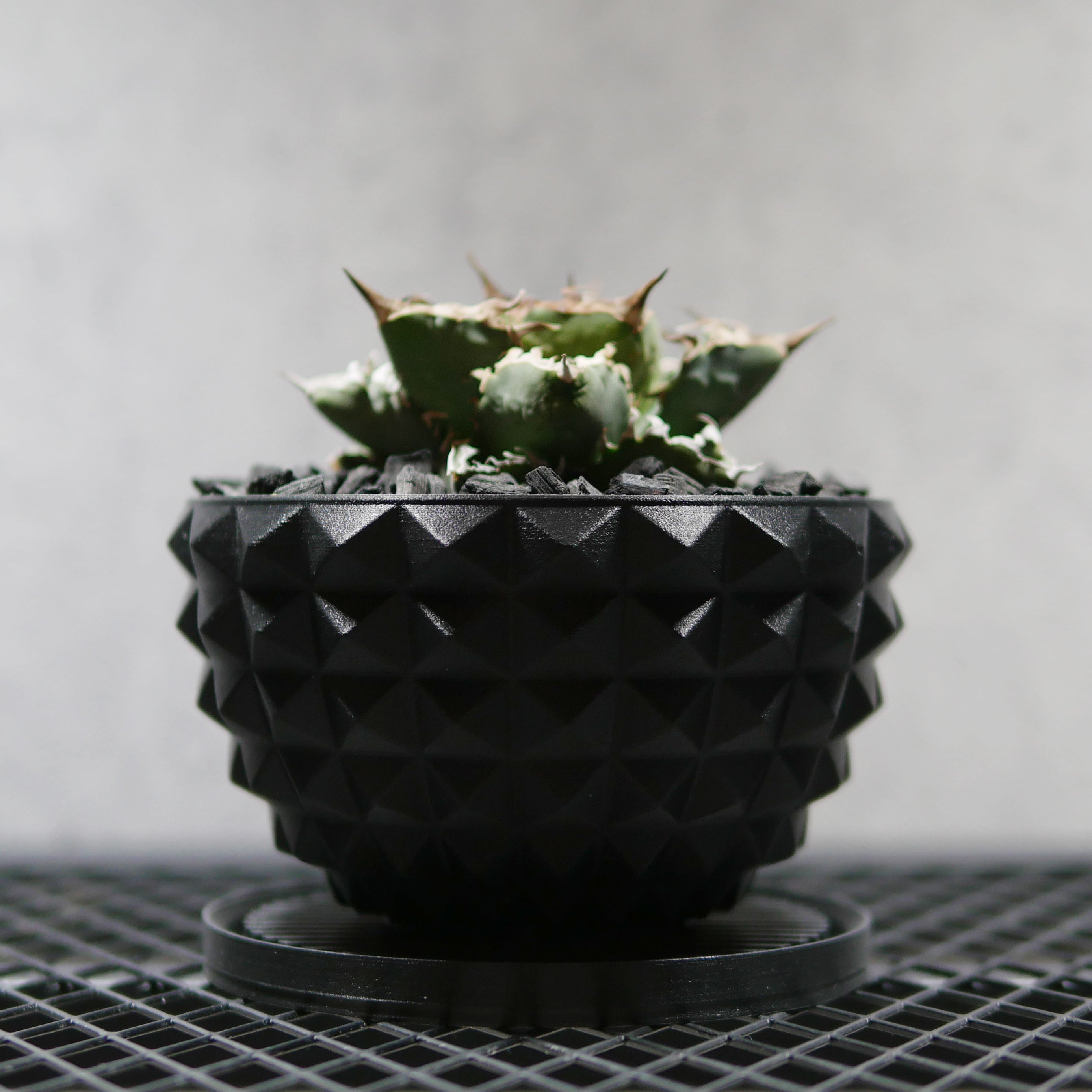 PRODUCT – SOCIAL PLANT WORKS｜OFFICIAL STORE