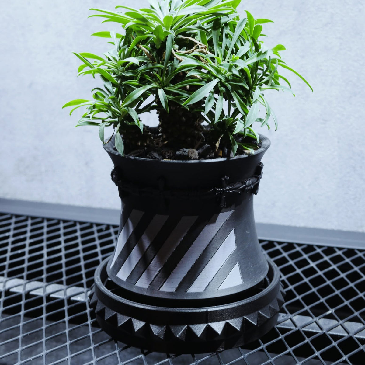 DUAL MESH TRAY STUD｜SIZE M（受け皿）