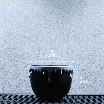 PLANTS POT