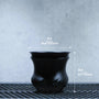 POT THUNDER SIZE M（4号サイズ鉢）